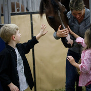 2013 Arabian Celebration Show