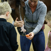 2013 Arabian Celebration Show