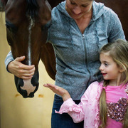 2013 Arabian Celebration Show