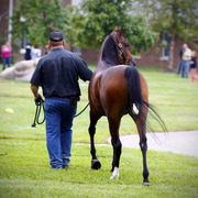 Home of the Innocents - Charity Event