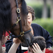 Home of the Innocents - Charity Event