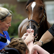 Home of the Innocents - Charity Event