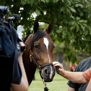 Home of the Innocents - Charity Event