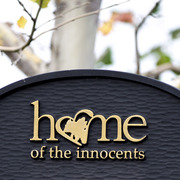 2013 Arabian Celebration Show