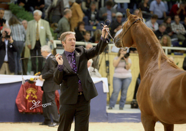 XXVIIth All Nations Cup and 2009 German National Show