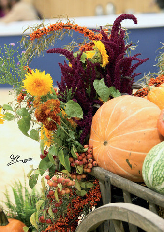 XXVIIth All Nations Cup and 2009 German National Show