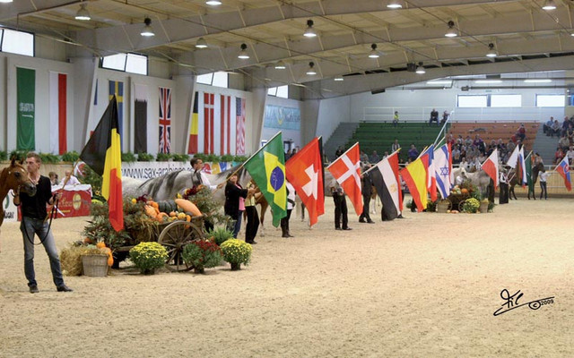 XXVIIth All Nations Cup and 2009 German National Show