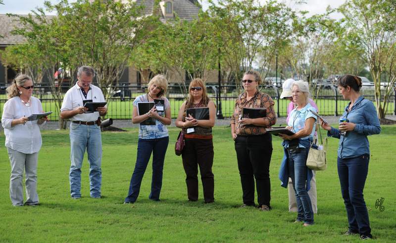In groups, learning about Judging from a show ring perspective