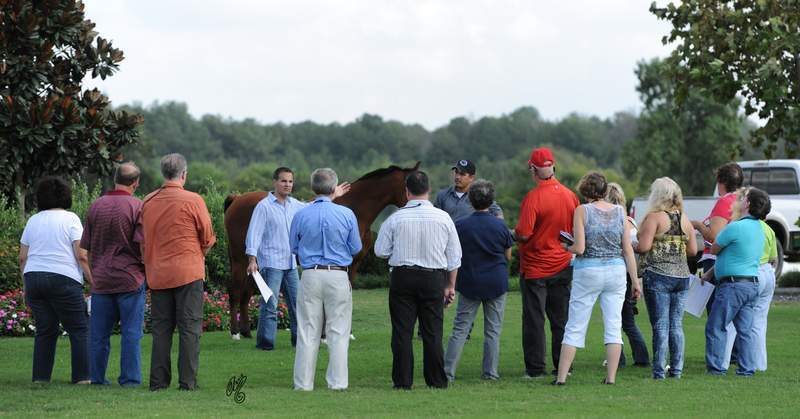 In groups, learning about Judging from a show ring perspective: Joe Polo teaching