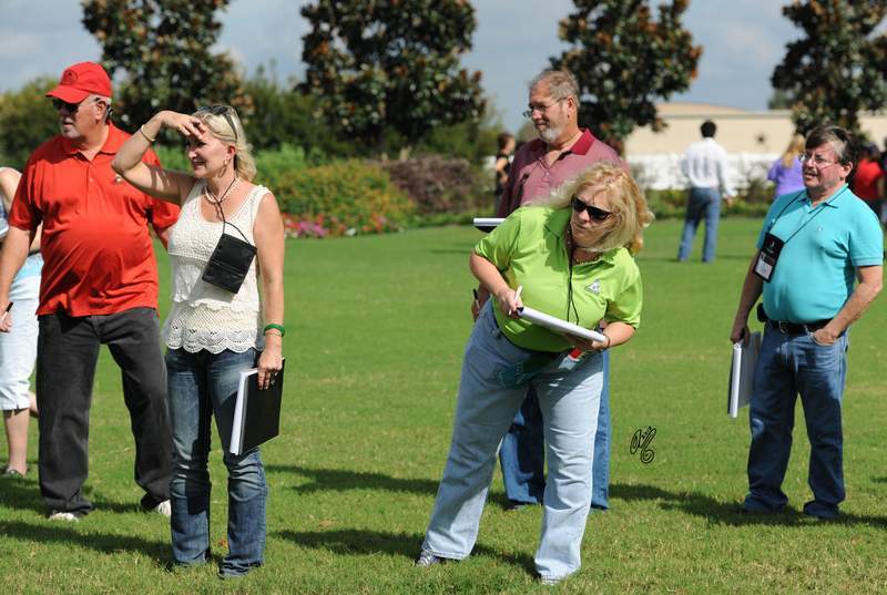 In groups, learning about Judging from a show ring perspective