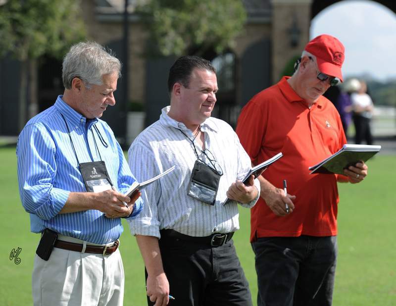 In groups, learning about Judging from a show ring perspective