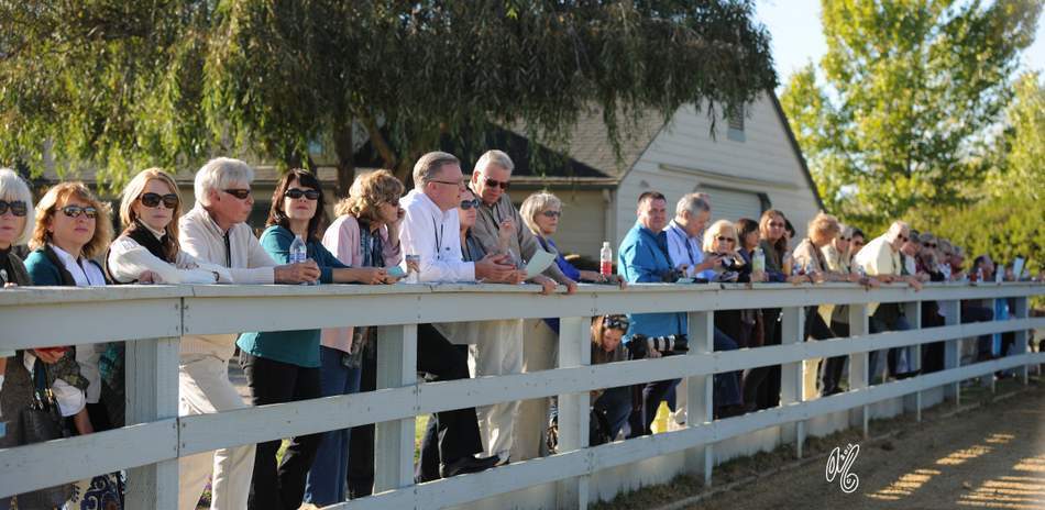 The presentation of the Silver Maple Farm horses, hosted by Christie & Henry Metz!