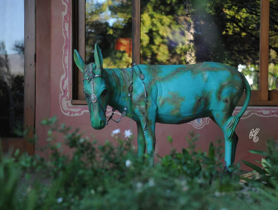 A wonderful evening hosted by Christie & Henry Metz in their beautiful Santa Ynez home!