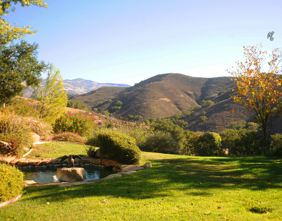 Welcome to The Pyramid Society's 2013 National Egyptian  Breeders' Conference, "The Global Influence of the Straight Egyptian Arabian," in Solvang, CA!