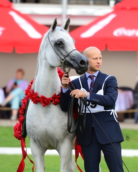Pepita
Photo by Stuart Vesty