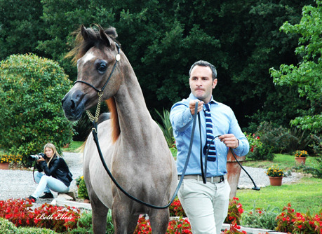 GIACOMO CAPACCI OPEN HOUSE