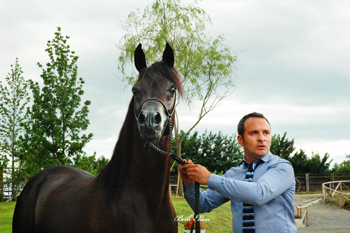 GIACOMO CAPACCI OPEN HOUSE