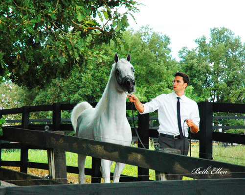 GIACOMO CAPACCI OPEN HOUSE