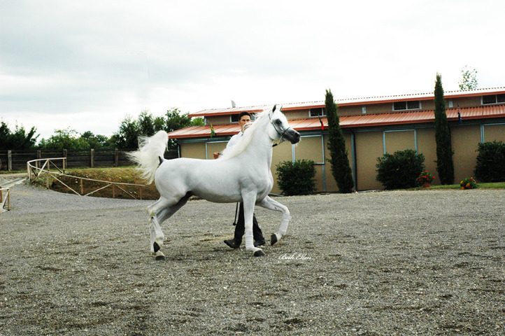 GIACOMO CAPACCI OPEN HOUSE