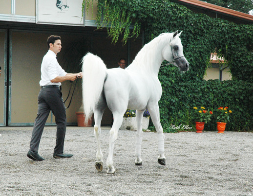 GIACOMO CAPACCI OPEN HOUSE