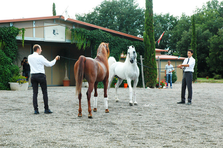 GIACOMO CAPACCI OPEN HOUSE