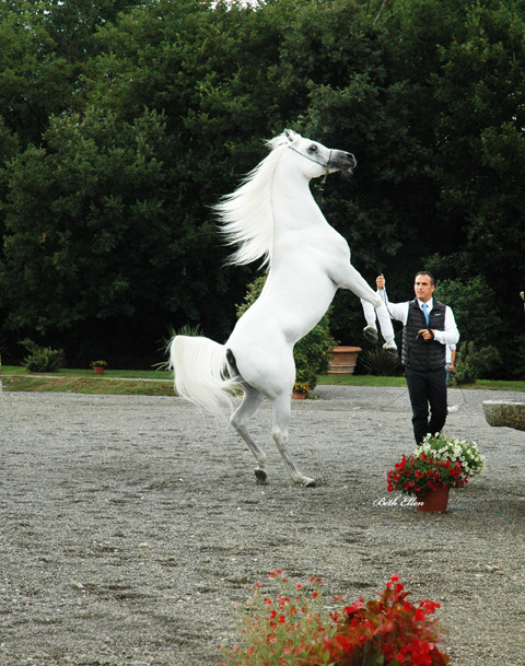 GIACOMO CAPACCI OPEN HOUSE