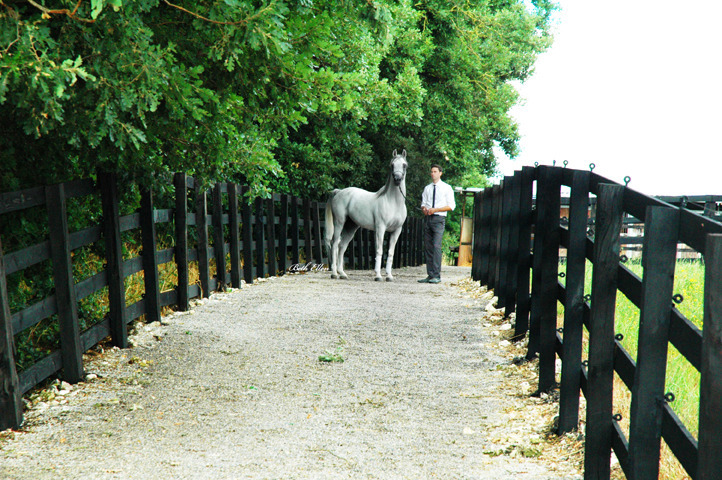 GIACOMO CAPACCI OPEN HOUSE