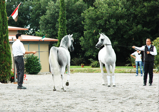 GIACOMO CAPACCI OPEN HOUSE