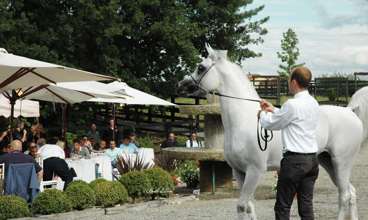 GIACOMO CAPACCI OPEN HOUSE