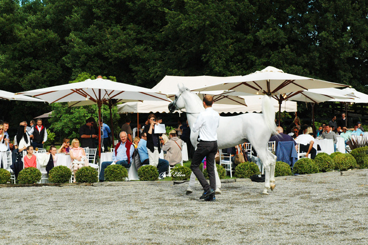 GIACOMO CAPACCI OPEN HOUSE