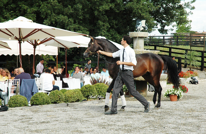 GIACOMO CAPACCI OPEN HOUSE