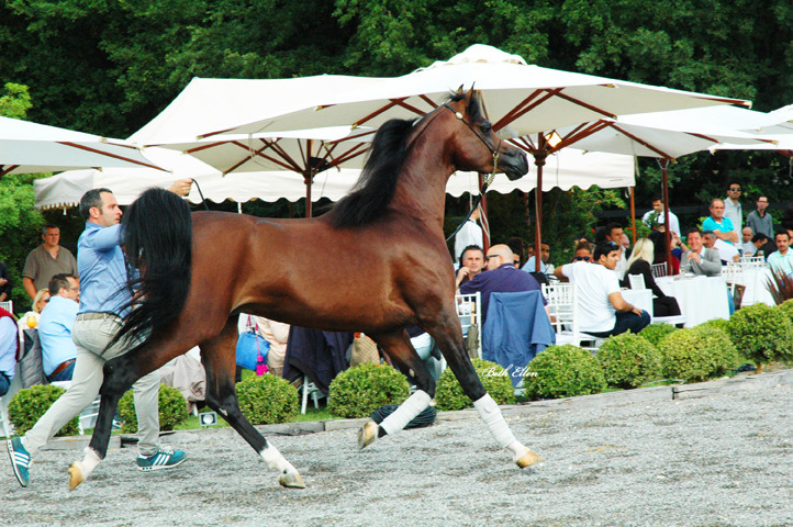 GIACOMO CAPACCI OPEN HOUSE