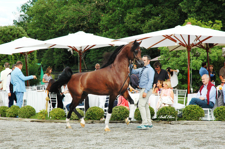 GIACOMO CAPACCI OPEN HOUSE