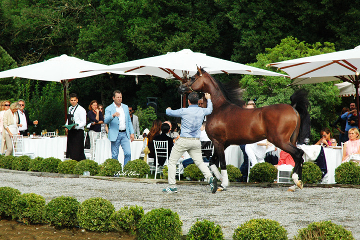 GIACOMO CAPACCI OPEN HOUSE