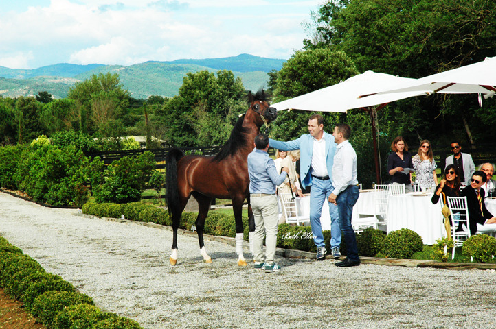 GIACOMO CAPACCI OPEN HOUSE