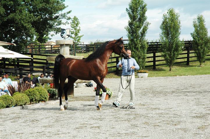 GIACOMO CAPACCI OPEN HOUSE