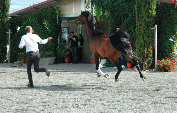 GIACOMO CAPACCI OPEN HOUSE