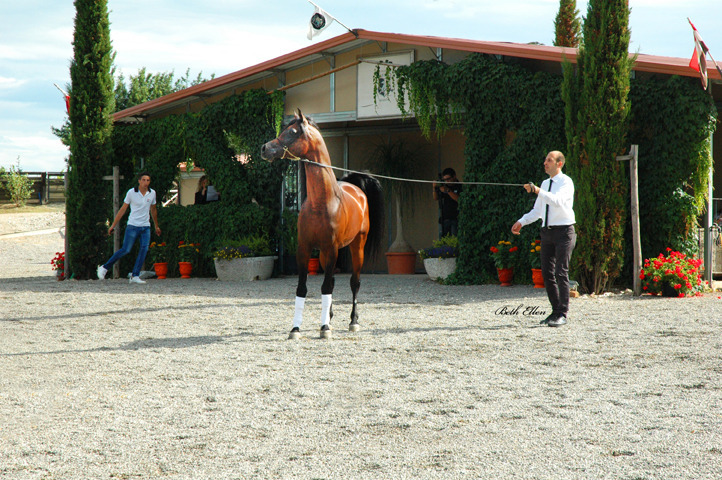 GIACOMO CAPACCI OPEN HOUSE