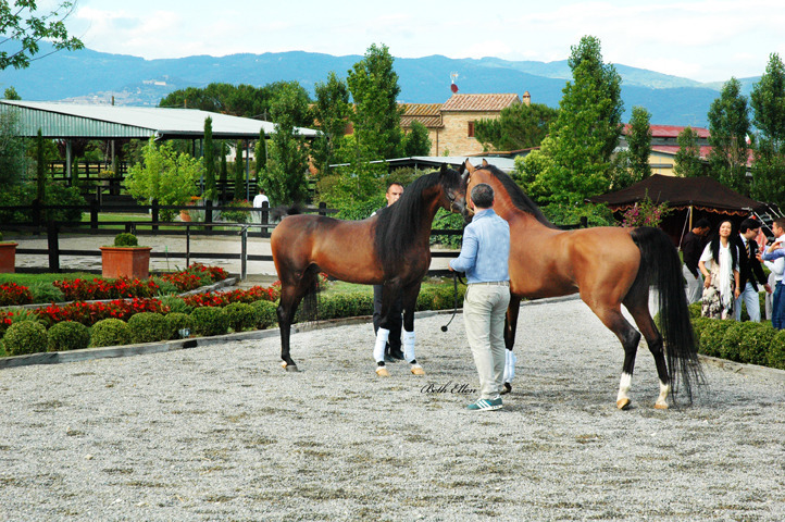 GIACOMO CAPACCI OPEN HOUSE