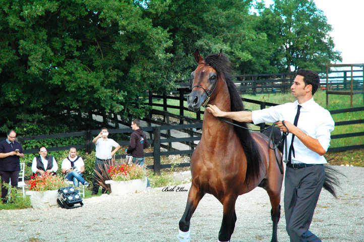 GIACOMO CAPACCI OPEN HOUSE