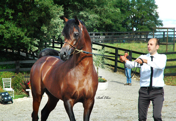 GIACOMO CAPACCI OPEN HOUSE