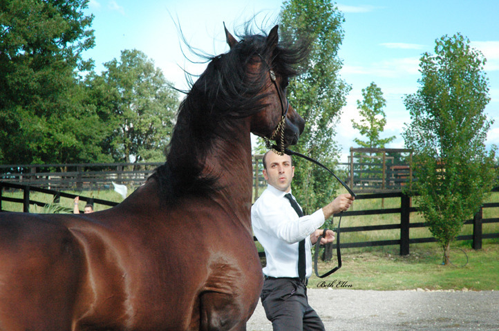 GIACOMO CAPACCI OPEN HOUSE