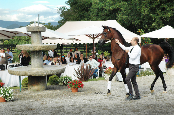 GIACOMO CAPACCI OPEN HOUSE