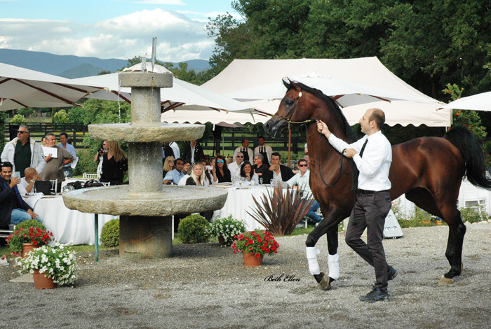 GIACOMO CAPACCI OPEN HOUSE