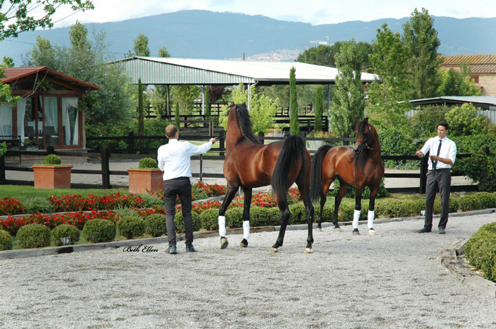 GIACOMO CAPACCI OPEN HOUSE