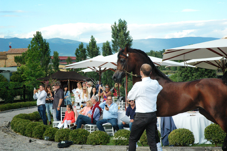 GIACOMO CAPACCI OPEN HOUSE