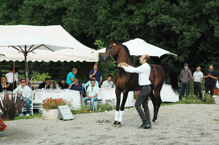 GIACOMO CAPACCI OPEN HOUSE