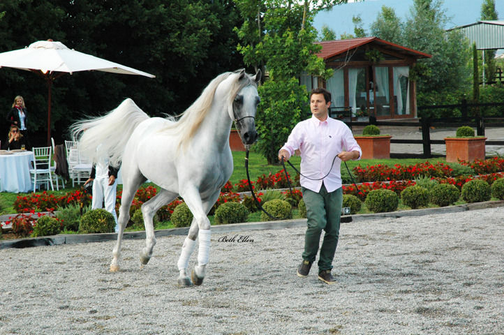 GIACOMO CAPACCI OPEN HOUSE