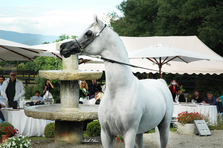 GIACOMO CAPACCI OPEN HOUSE