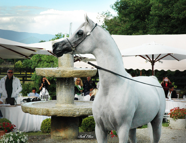 GIACOMO CAPACCI OPEN HOUSE